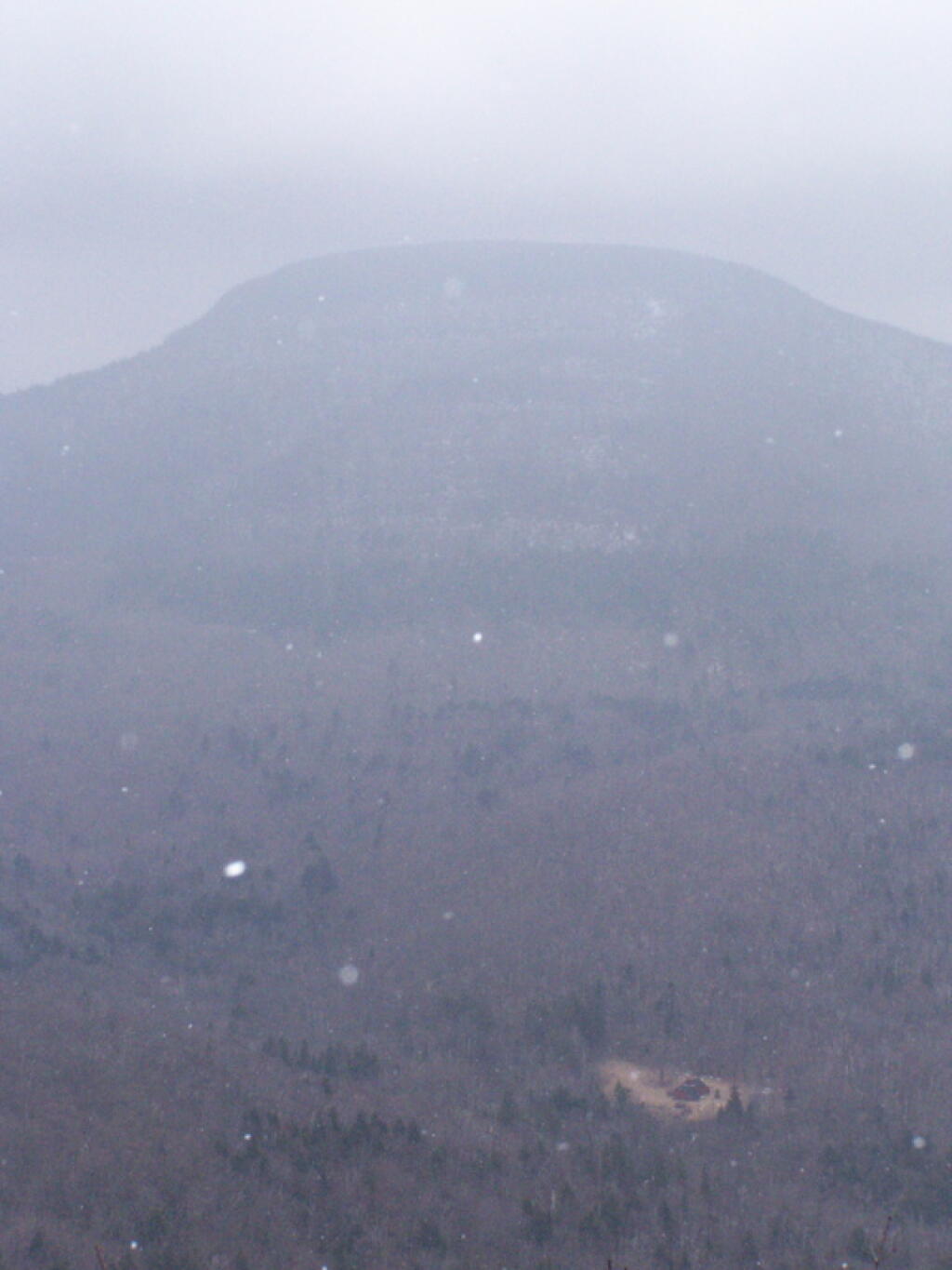 Photo: Snowing