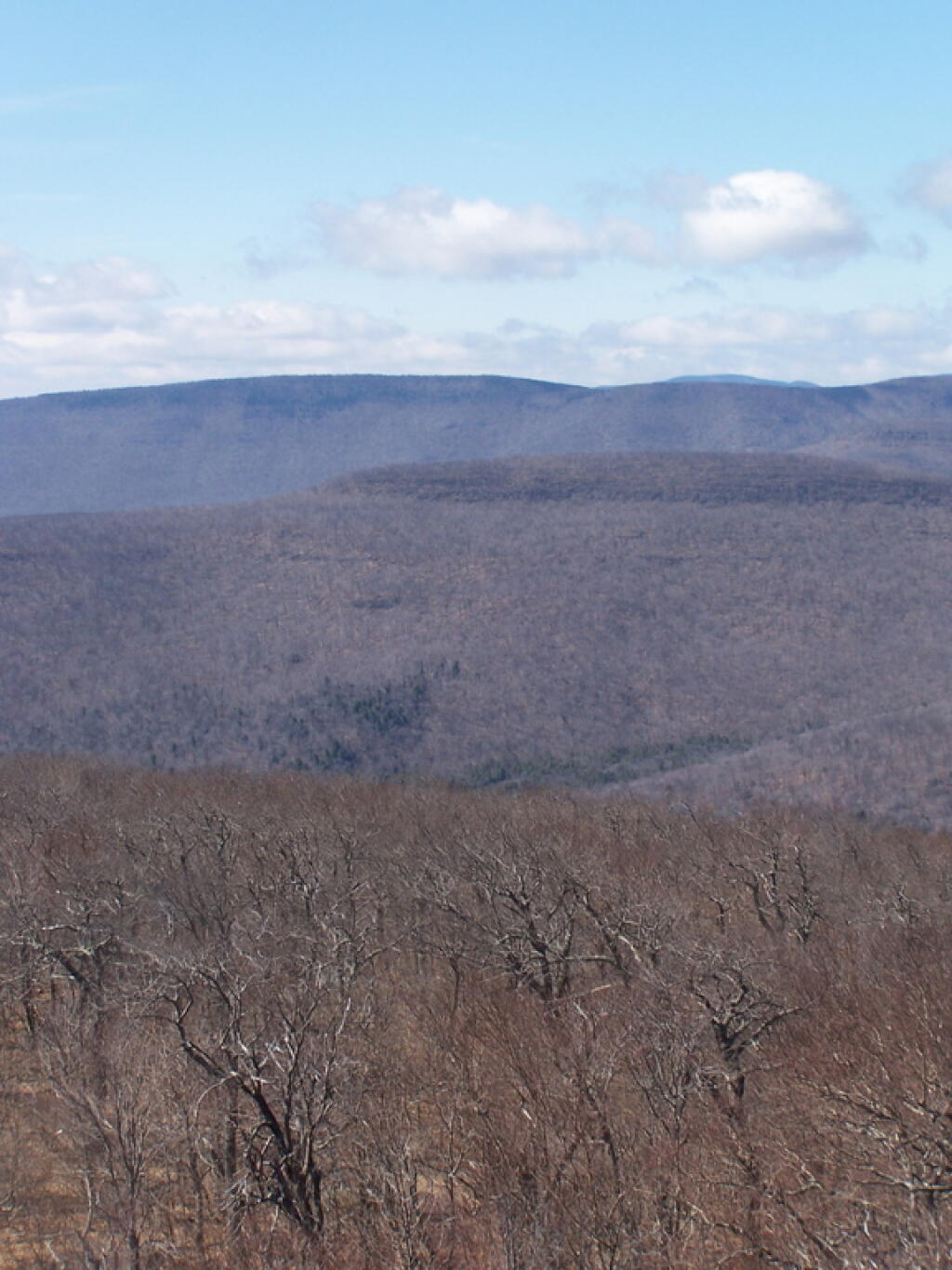 Photo: Plateau Mountain