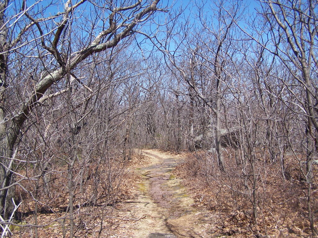 Photo: Blue Trail