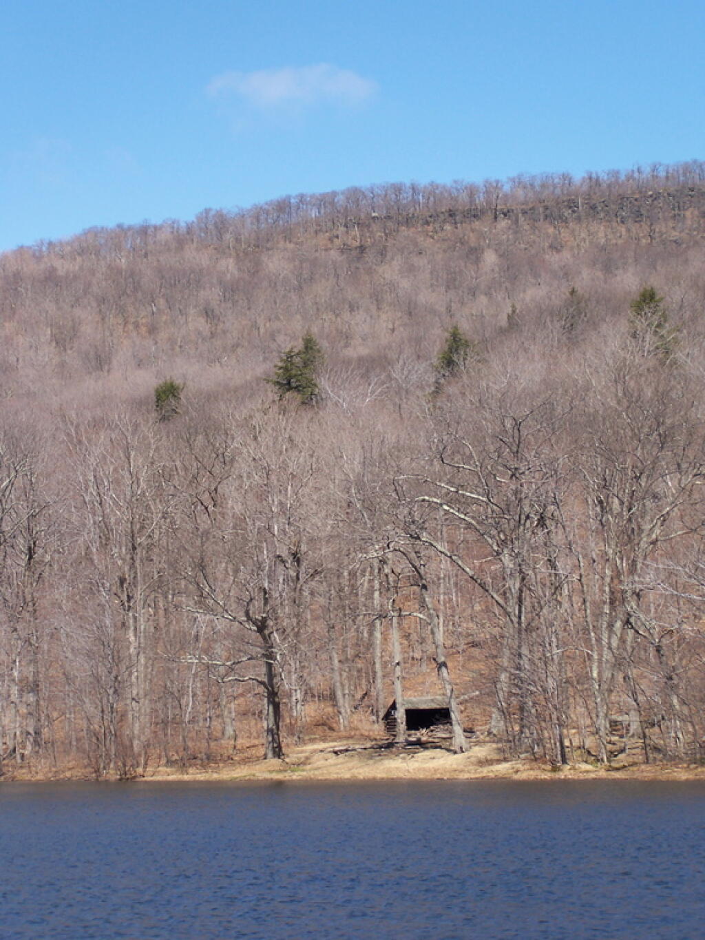 Photo: Leanto In Valley
