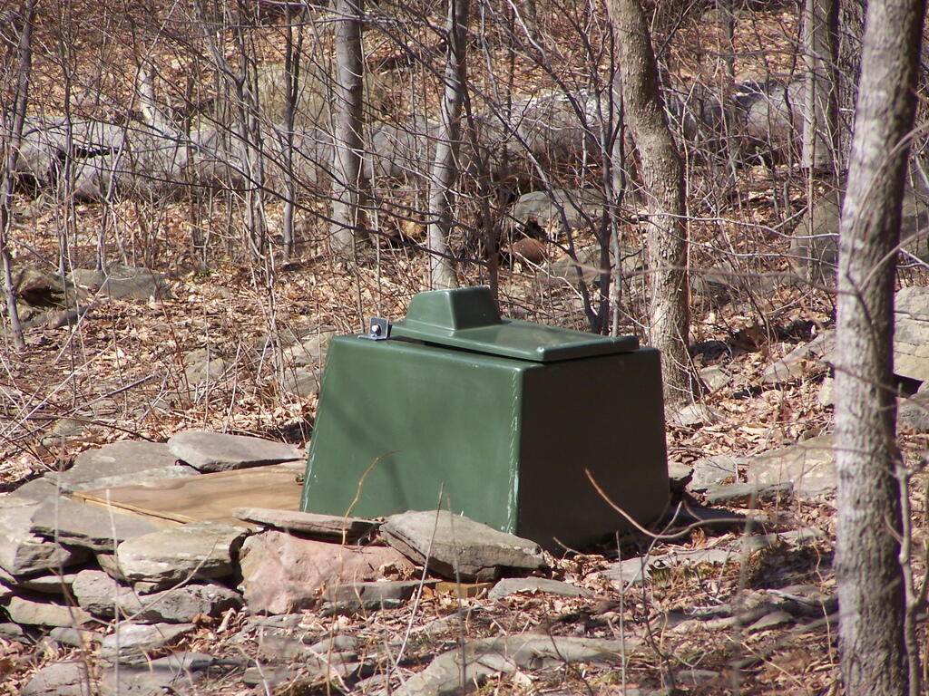 Photo: Bear Box