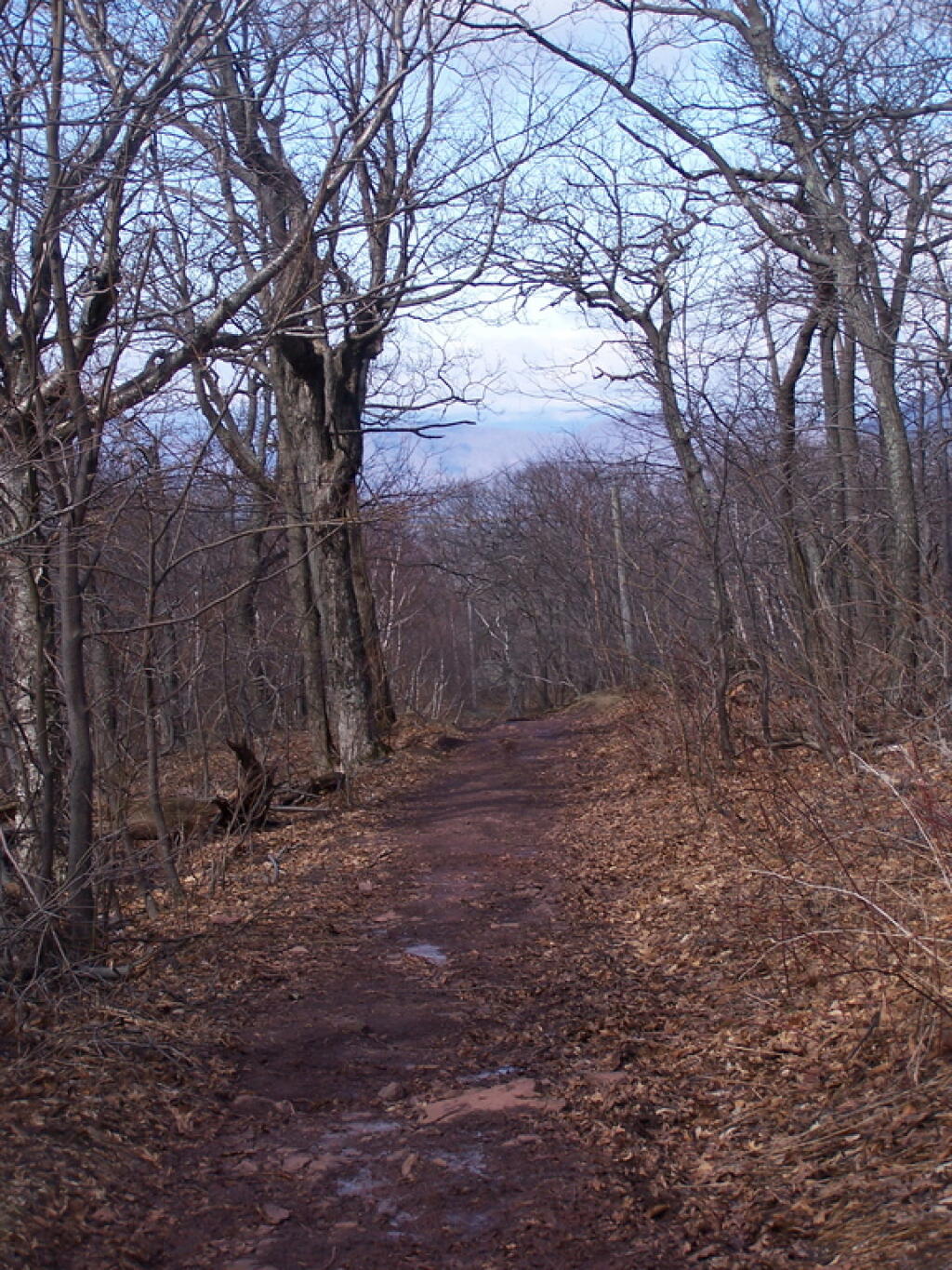 Photo: Descending Trail