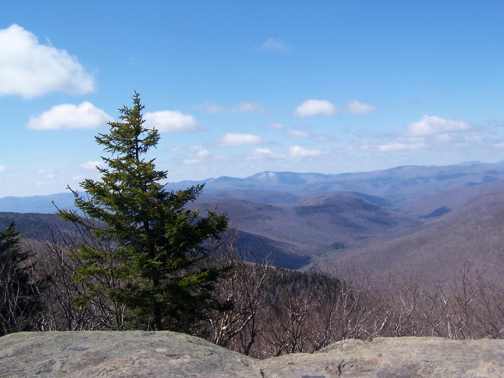 Photo: View from Plateau