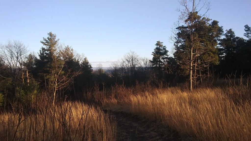 Photo: Evening Walk on Blodgett Hill