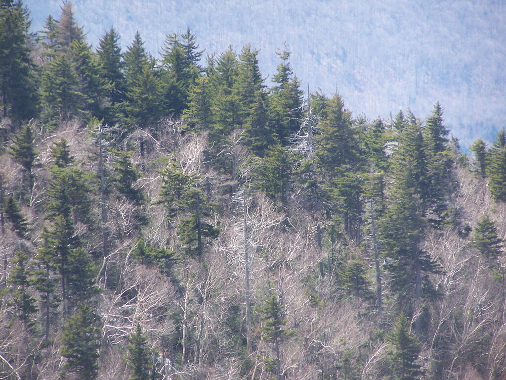 Photo: Dry Mountains
