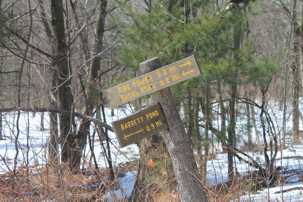 Photo: Barrett Pond-Engel Road Trail Intersection