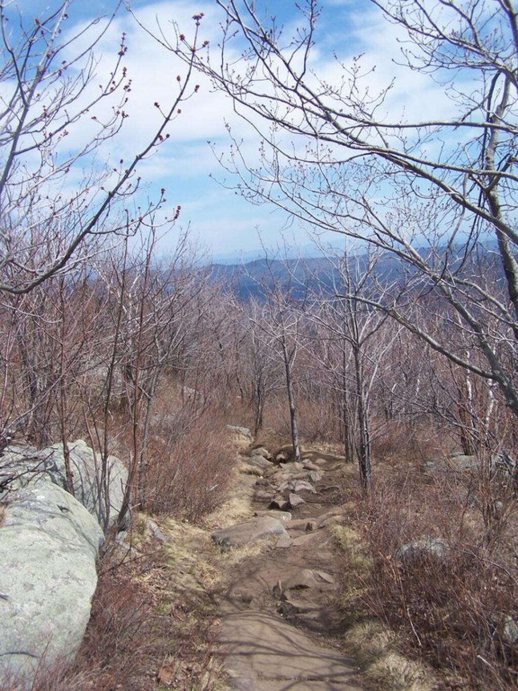 Photo: Descending the Hill