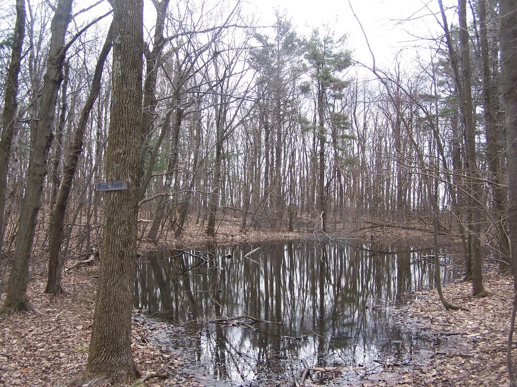 Photo: Opal Pond