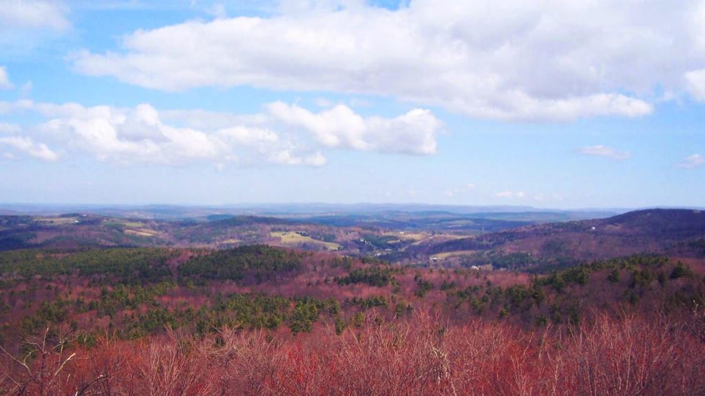 Photo: North View from Beebe Fire Tower
