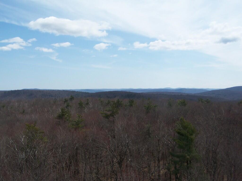 Photo: South from Tower