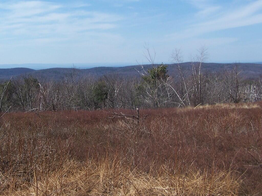 Photo: North from Harvey Mountain