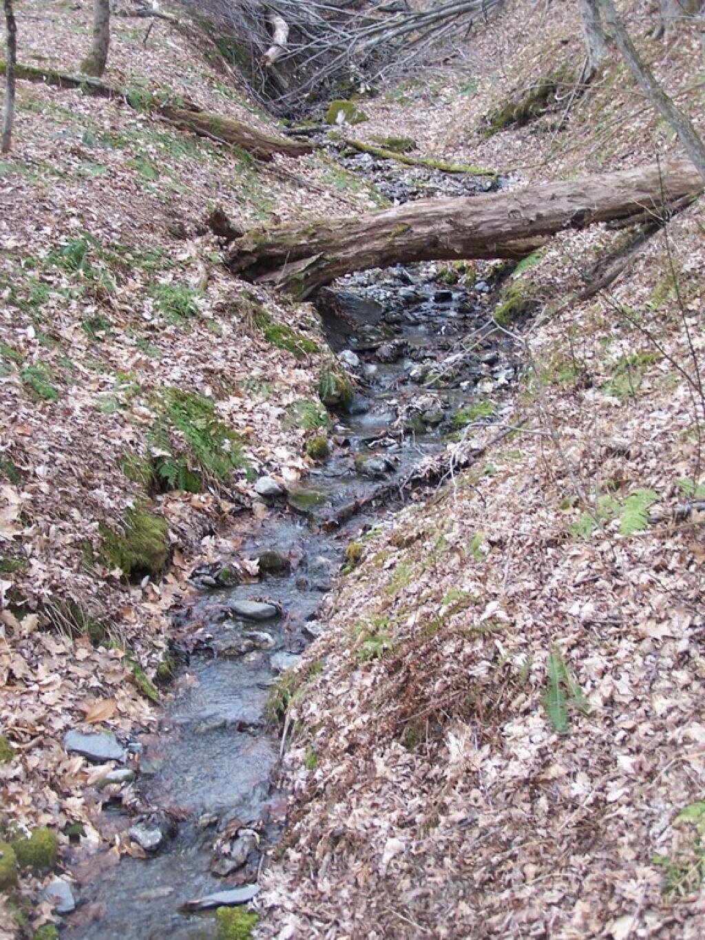 Photo: Snow Melt