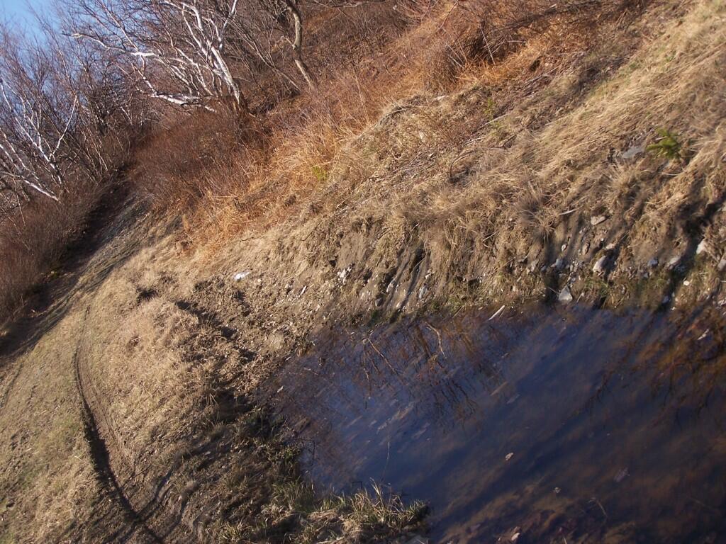 Photo: Puddle Created By ATVs