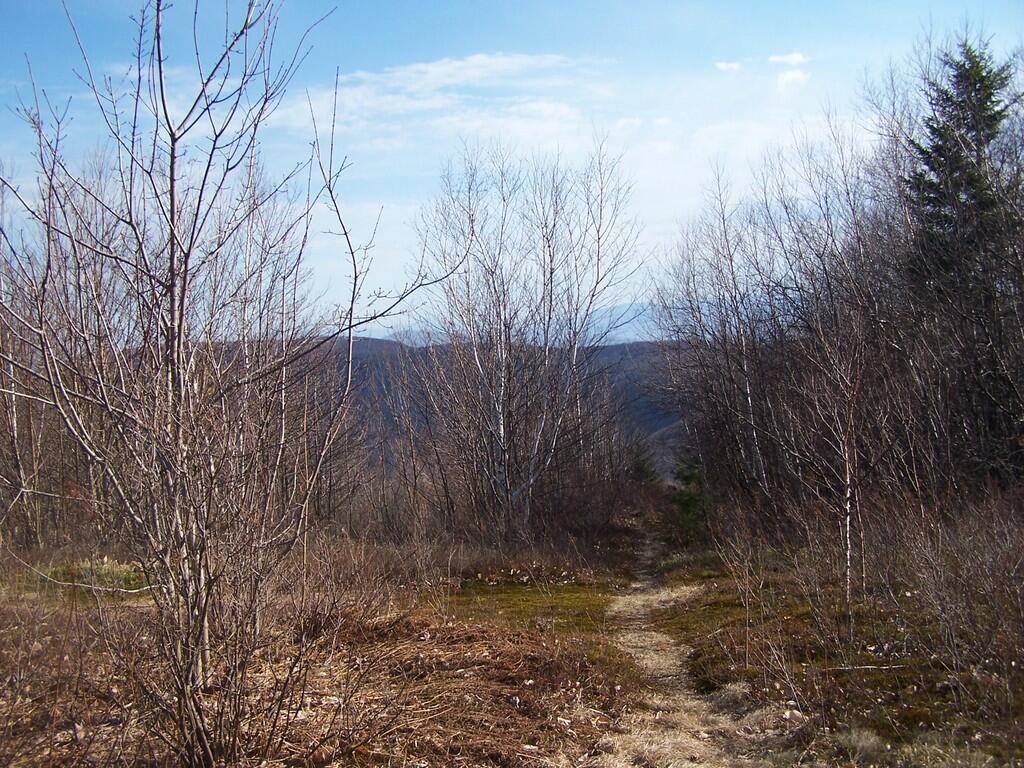 Photo: Paths