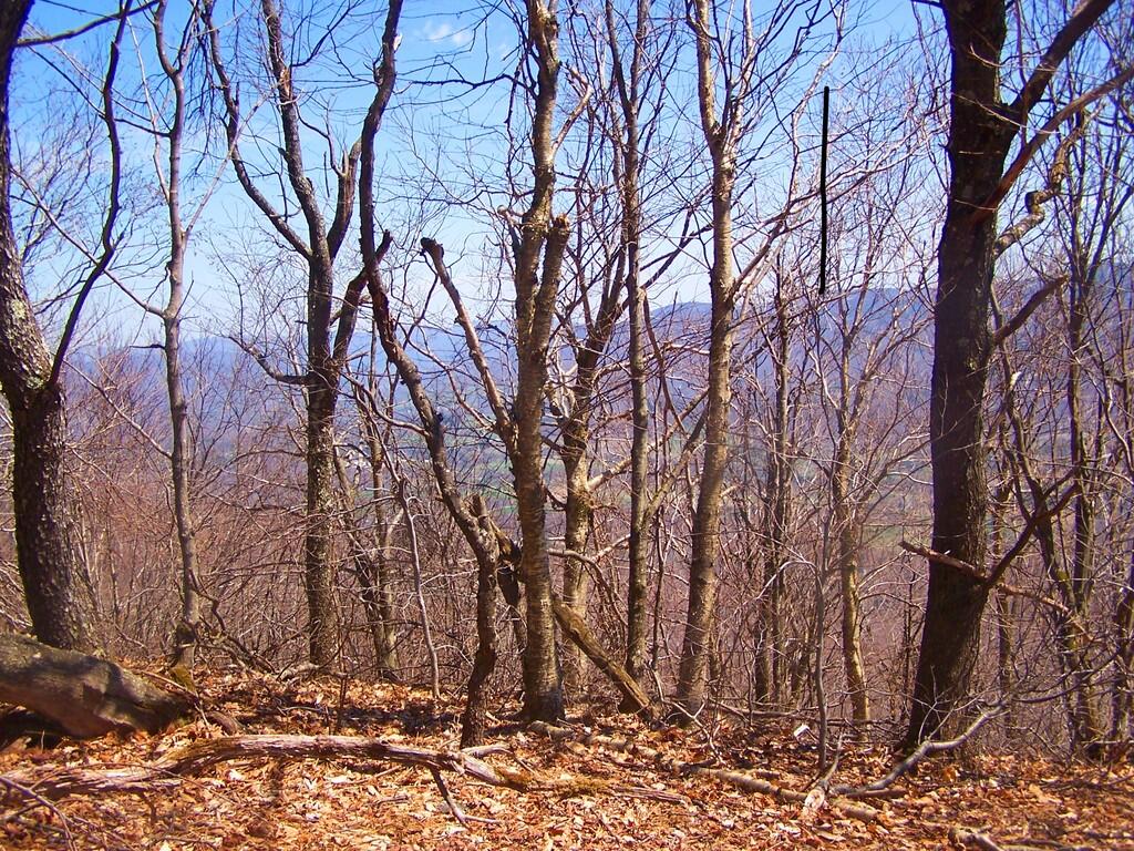 Photo: Greenfields in Valley