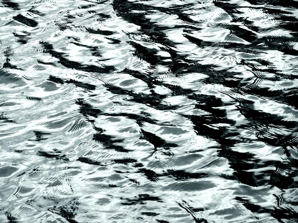 Photo: Untitled