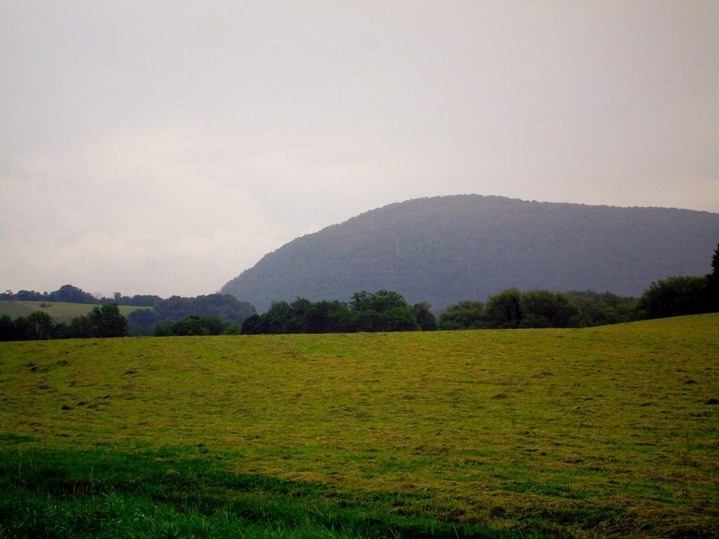 Photo: Raining on Freshly Cut Hay