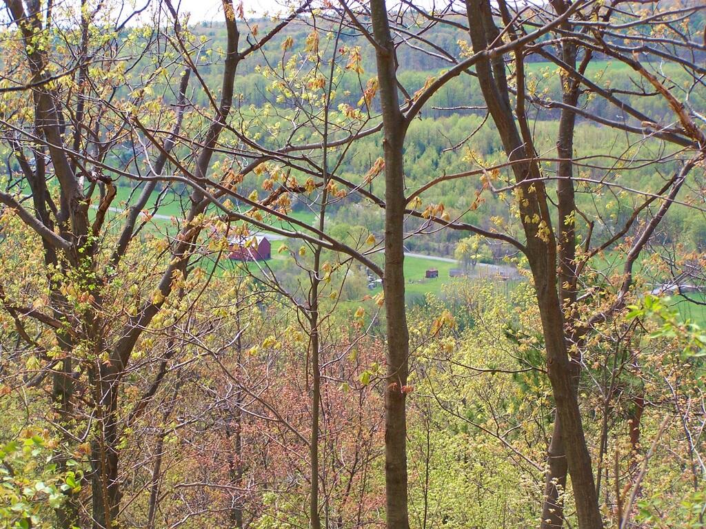 Photo: South-West from Bennett Hill