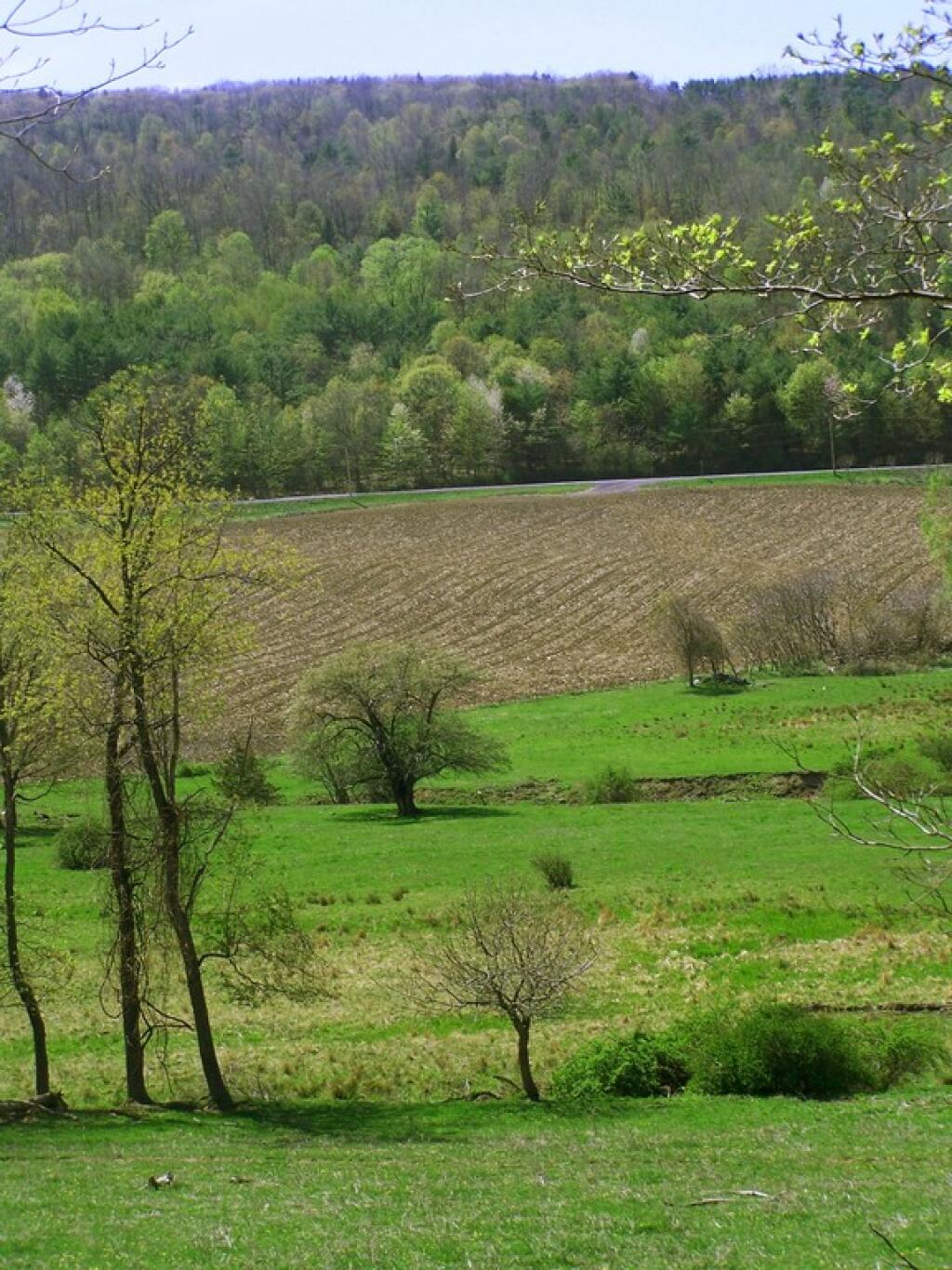 Photo: Pasture and Field