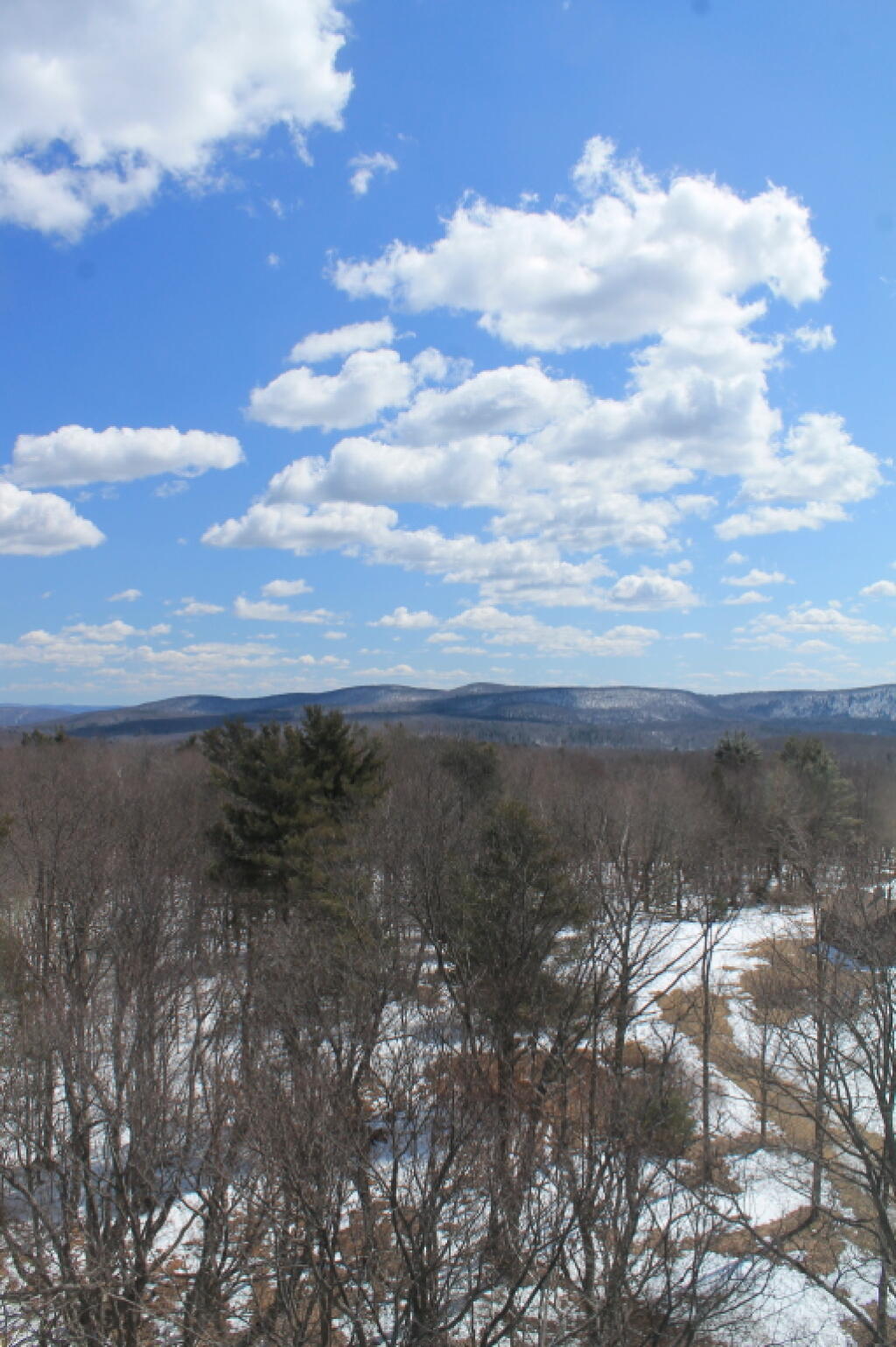 Photo: Nice Day Out