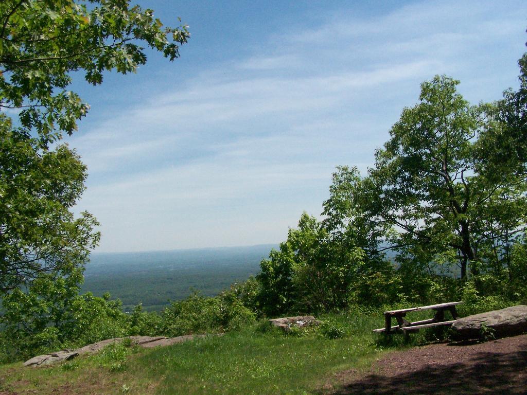 Photo: Little Pine Orchard Pinic Area