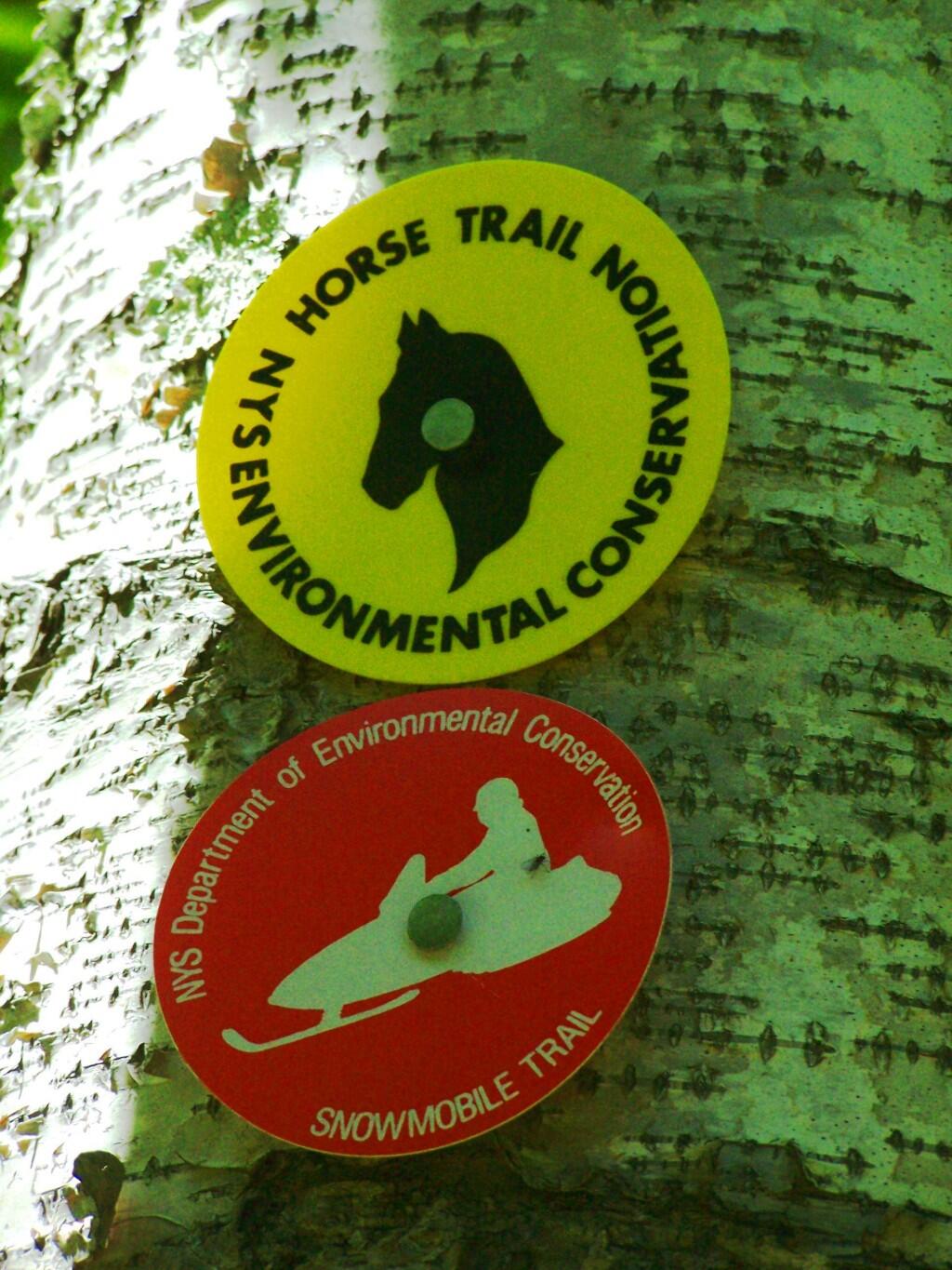 Photo: Horse Trail