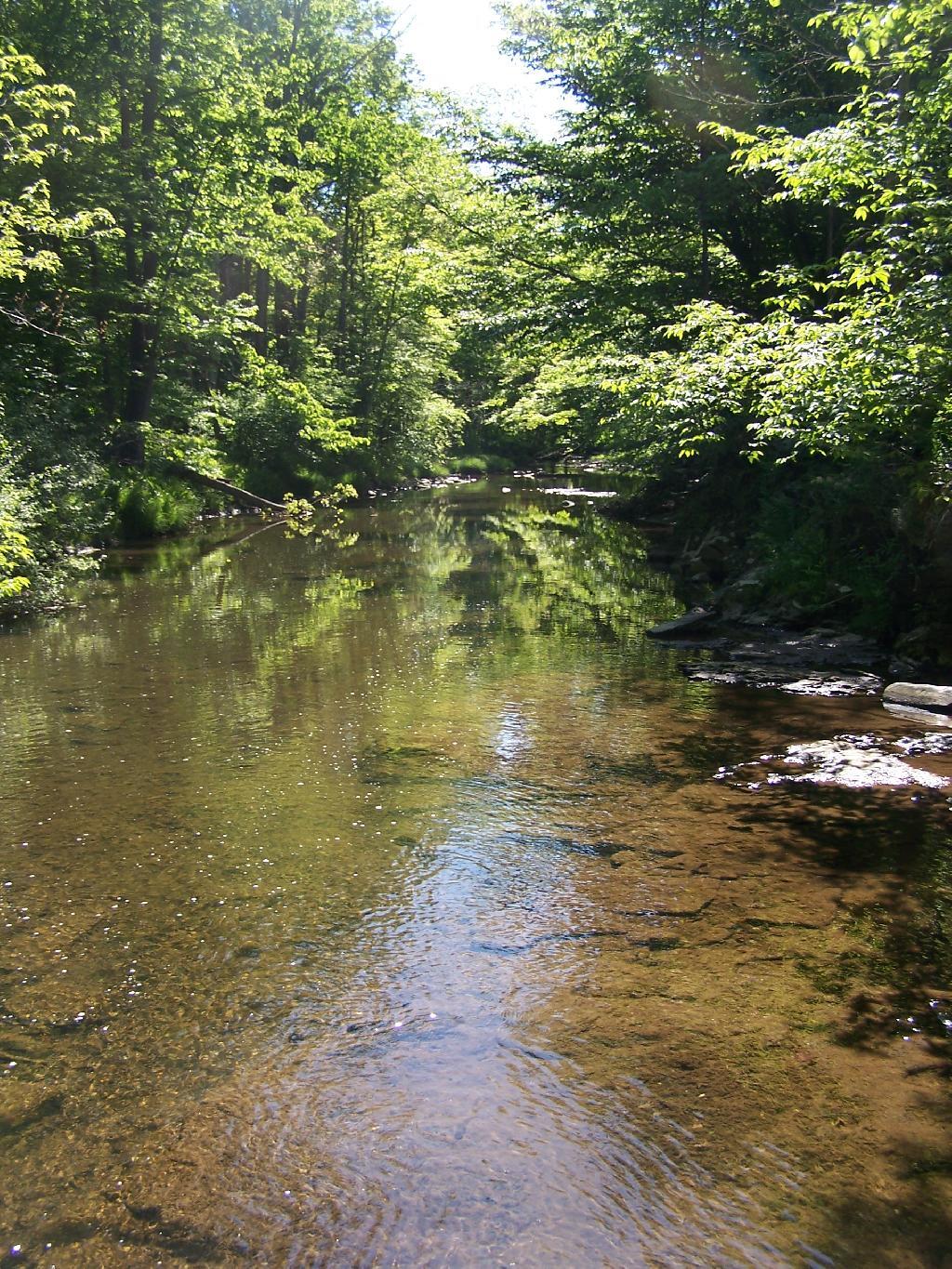 Photo: Swimming Hole