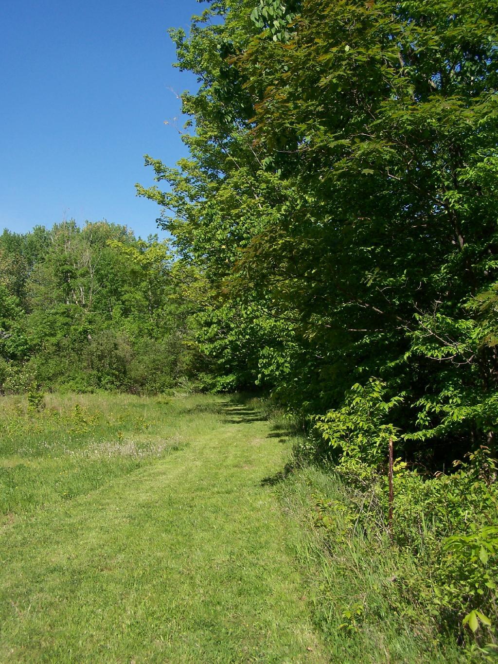 Photo: Back Field