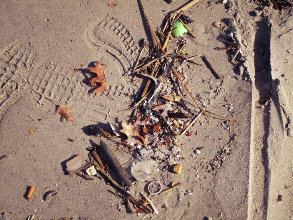 Photo: Litter