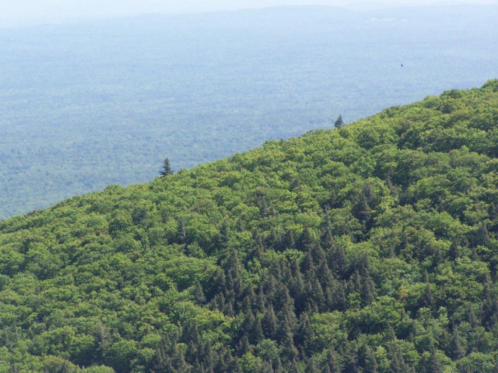Photo: Mountain Side