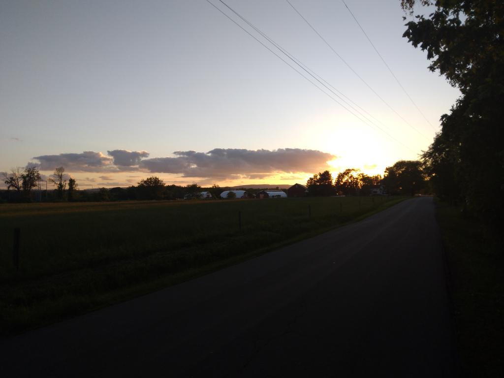 Photo: Evening on Meads Road