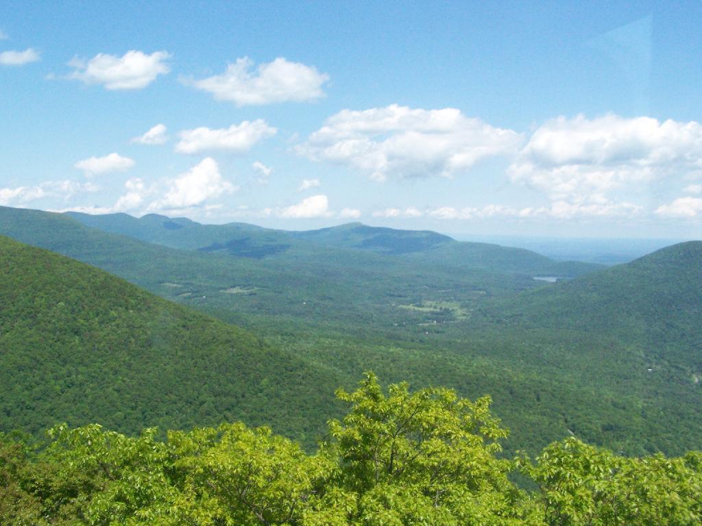Photo: Tannersville