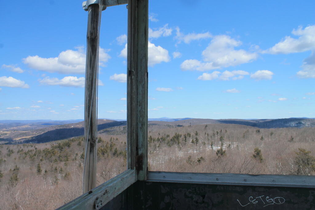 Photo: Tower View