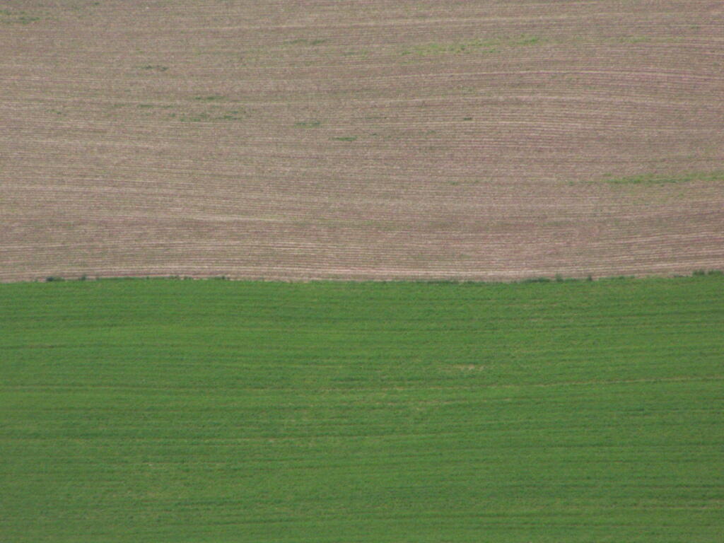 Photo: Green and Brown