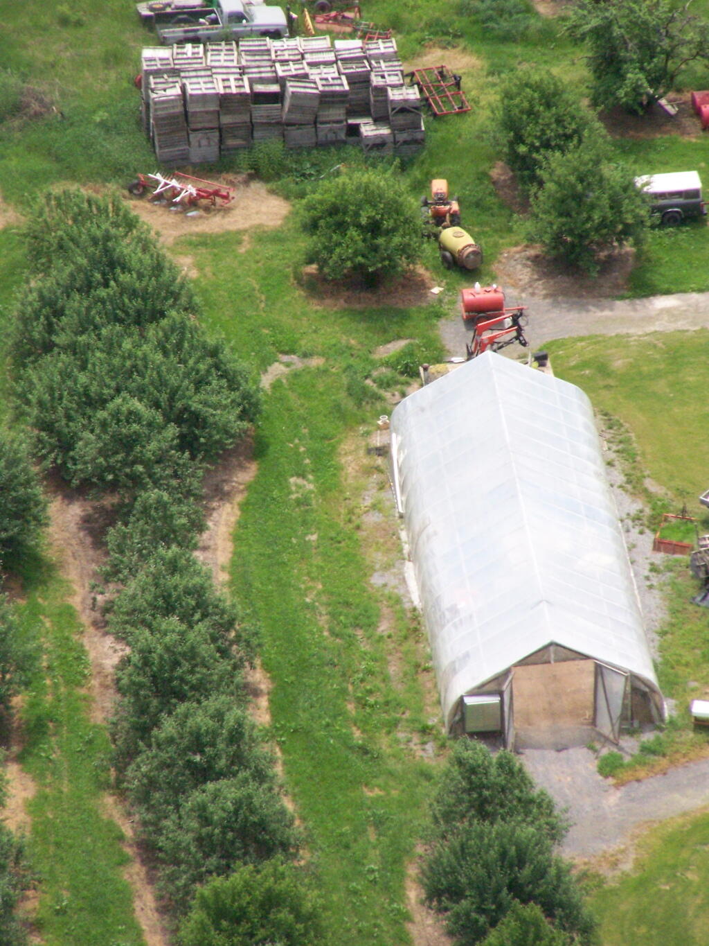 Photo: Green House