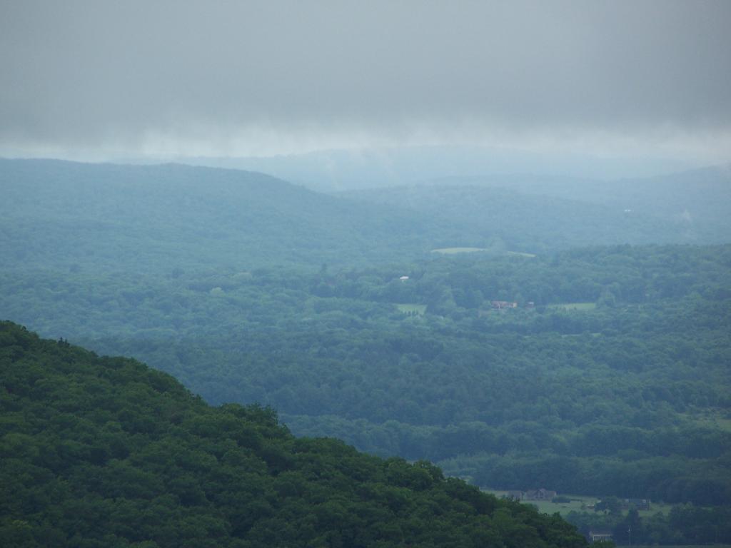 Photo: Clearing