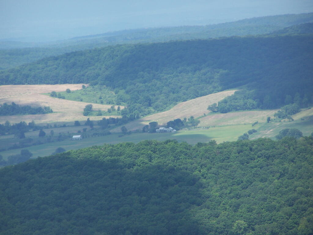Photo: Farm