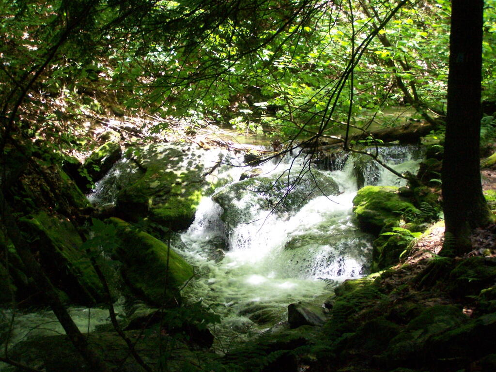 Photo: Cedar Creek Waterfall