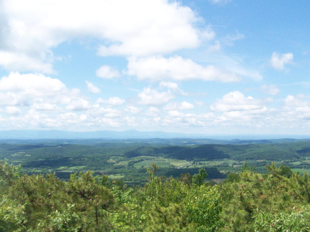 Photo: Wide View