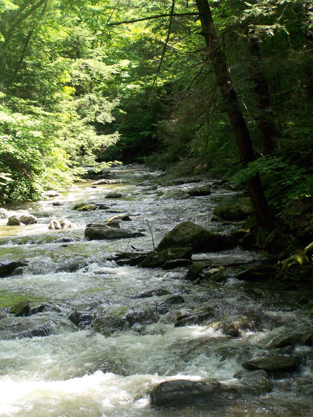 Photo: Brook