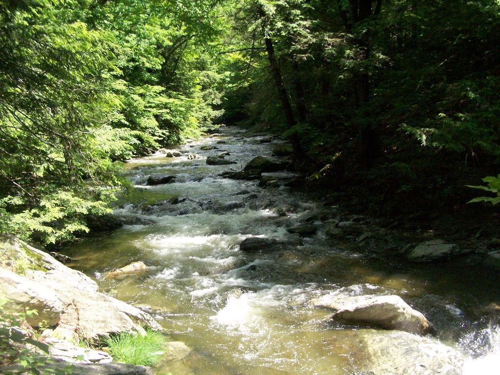 Photo: Bash Bish Creek