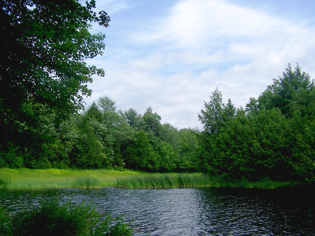Photo: Dam