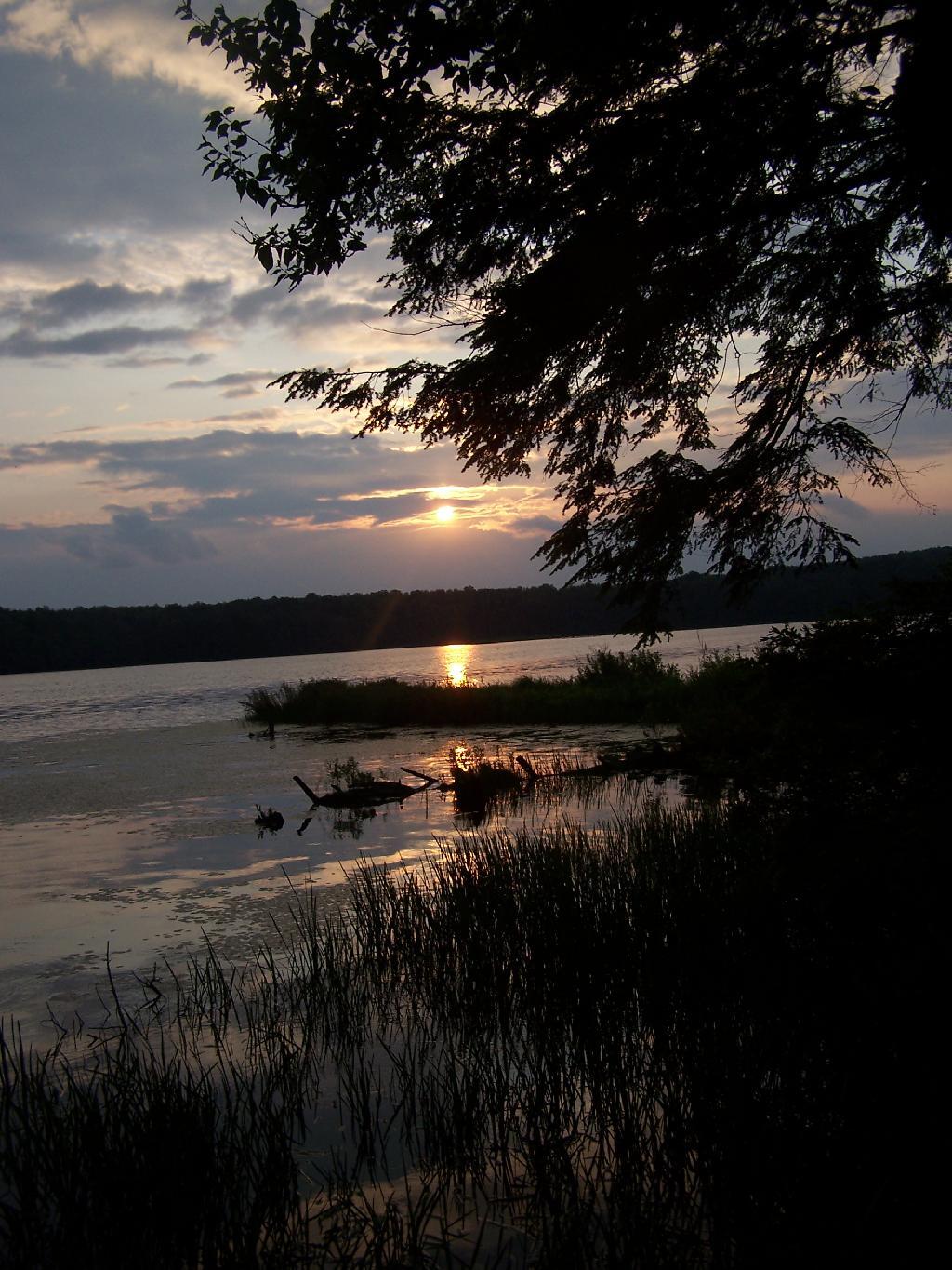Photo: Night Falls