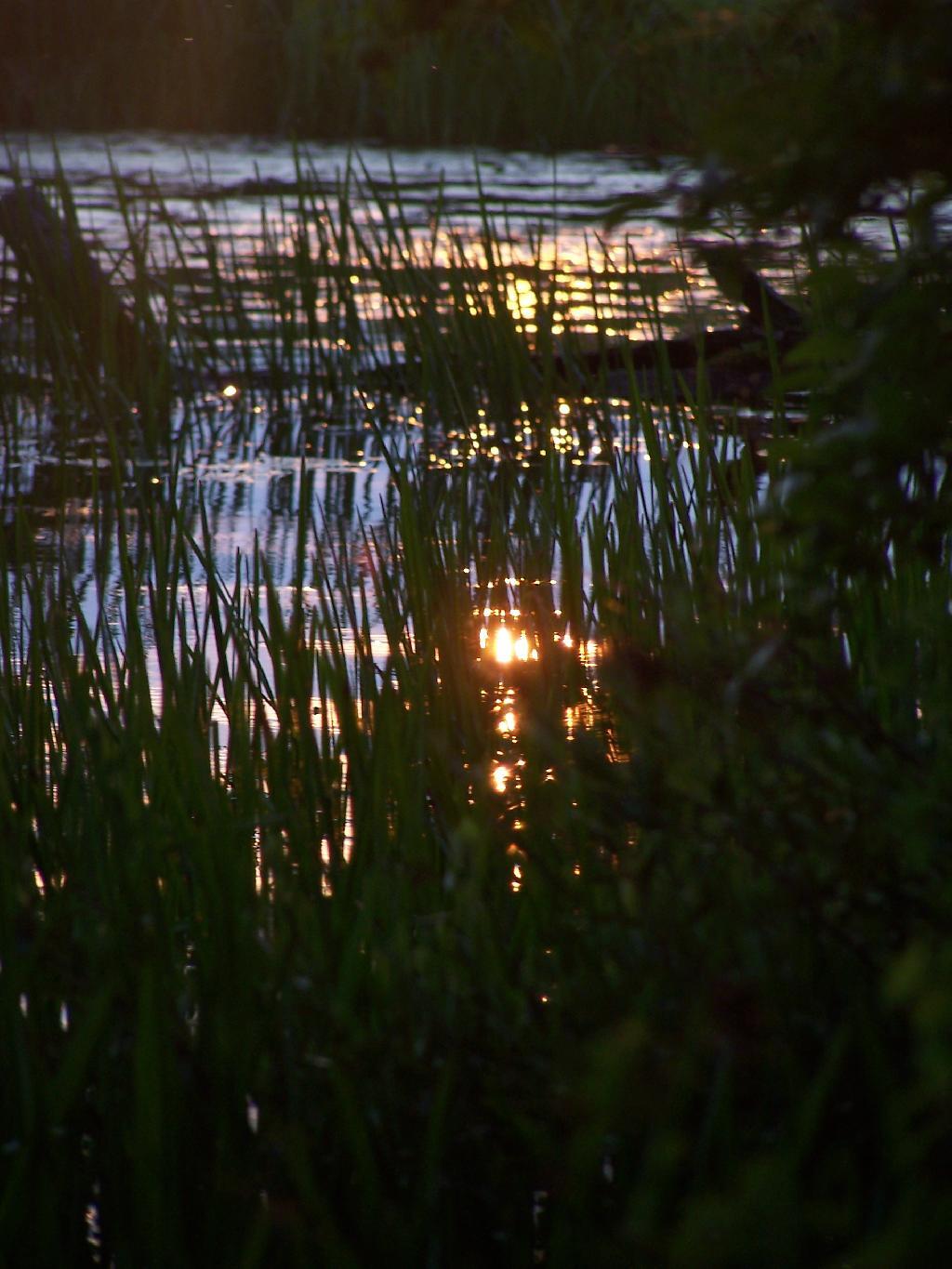 Photo: Silence