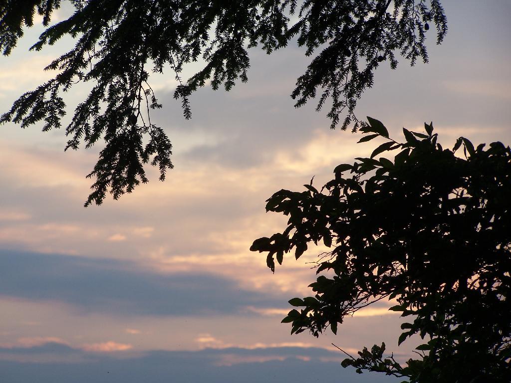 Photo: Good Night