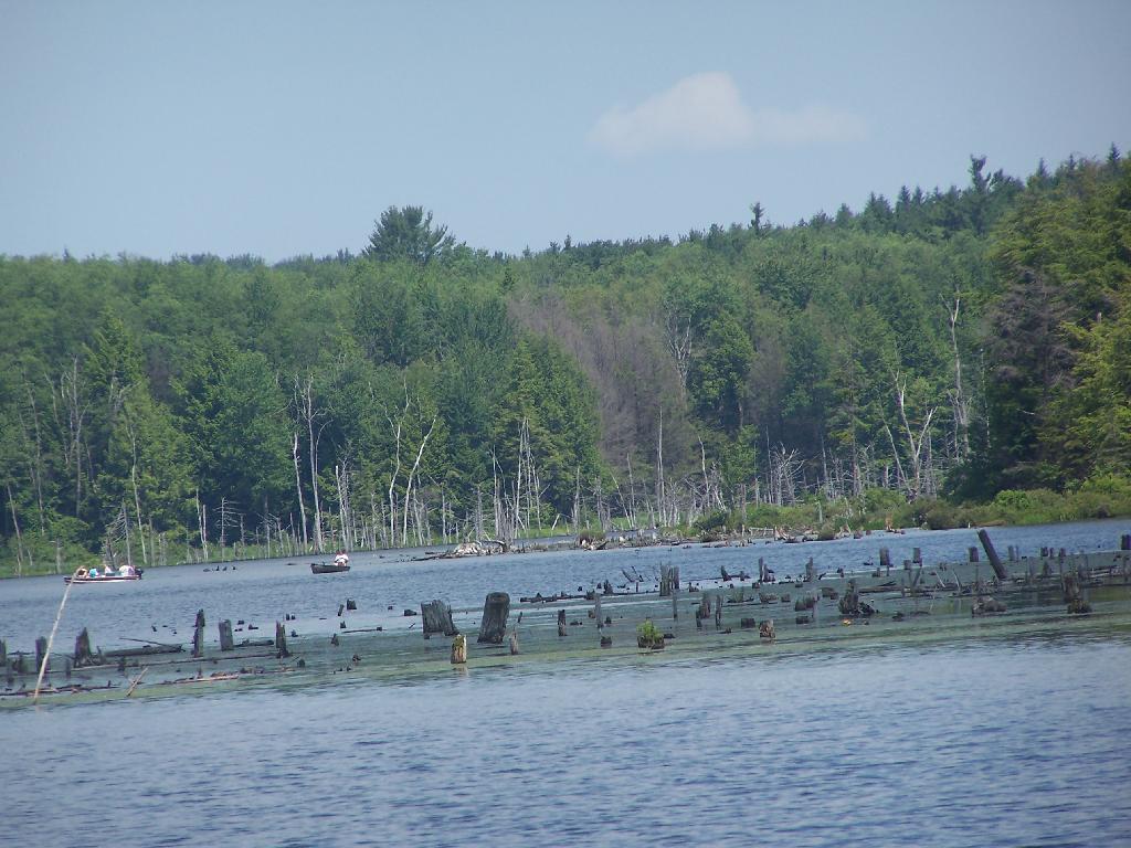 Photo: Fishing Photo: Fishing