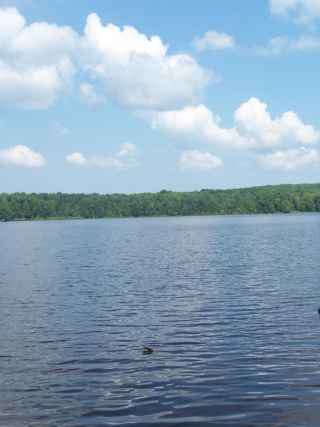 Photo: Lake