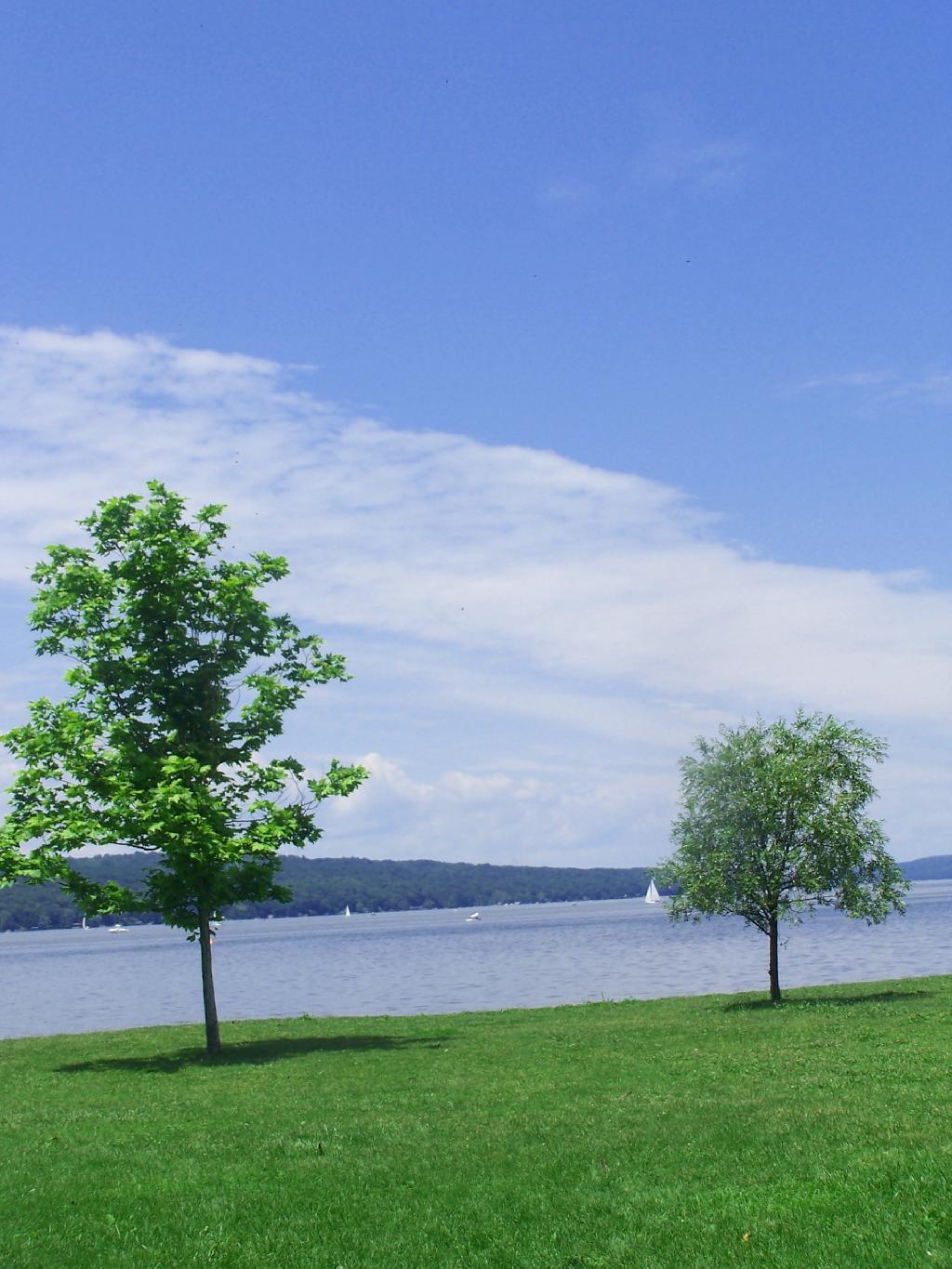 Photo: Cayuga Lake