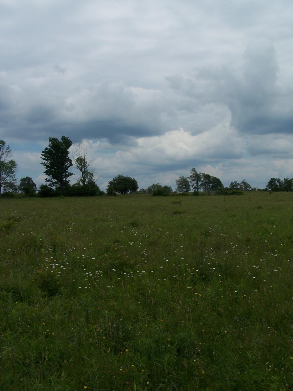Photo: Clouds