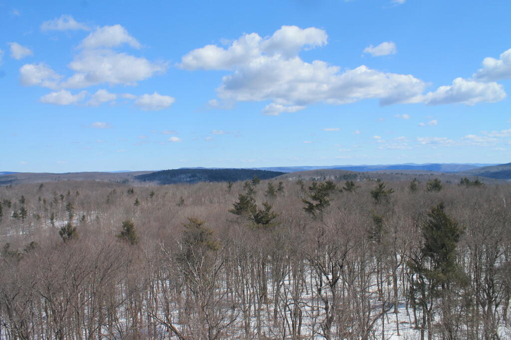 Photo: West Towards Harvey Hill and Massachussets